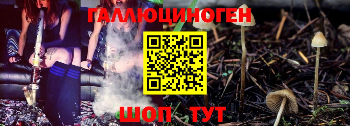 Галлюциногенные грибы MAGIC MUSHROOMS Артём